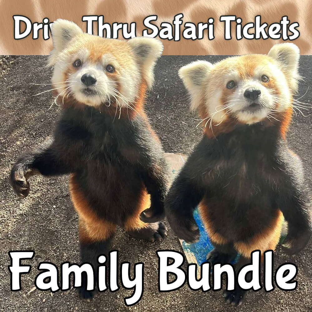 Tickets